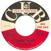 Zebulons - Falling Water