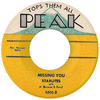Starlites - Missing You