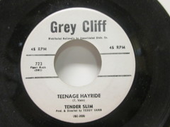 Tender Slim - Teenage Hayride