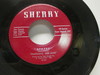 Fantastic Dee Jays - Apache/this Love Of Ours