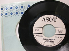 Echoes - I Love Candy/Paper Roses