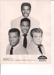 Meadowlarks - picture only