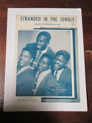 Jayhawks - Stranded In The Jungle
