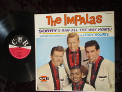 Impalas - Sorry