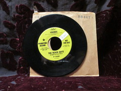 Beach Boys - Little Bird