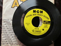 Cowsills - Hair