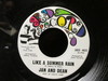Jan & Dean - Like A Summer Rain
