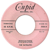 Satellites - Rockateen