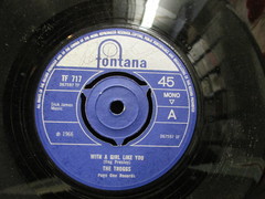Troggs - With A Girl Like You