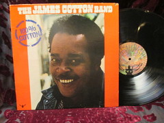 Cotton, James - 100% Cotton