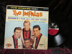 Impalas - Sorry