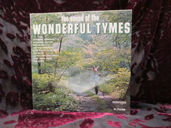 Tymes - The Sound Of