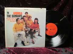 Sunrays - Andrea