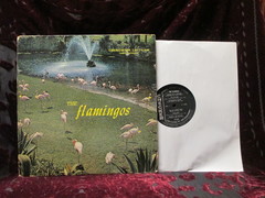 Flamingos - Same
